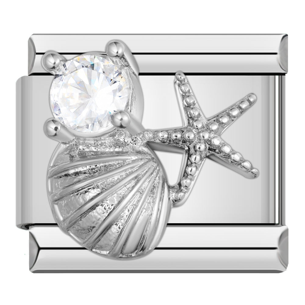 Starfish and seashell