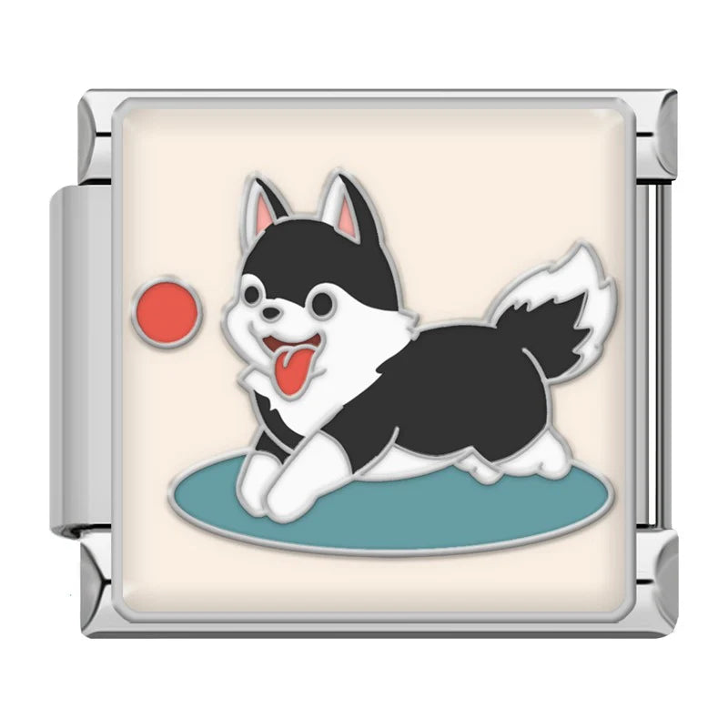 Dog playing