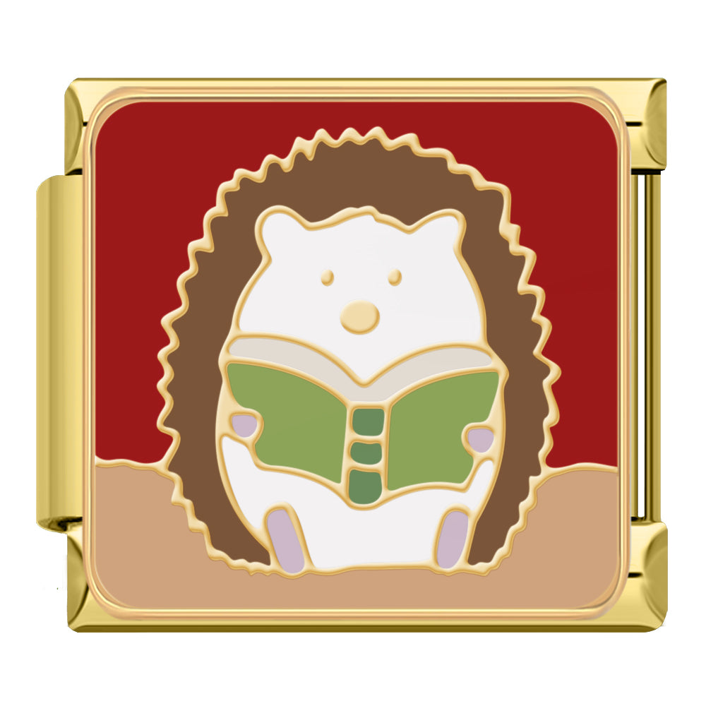 Hedgehog reading