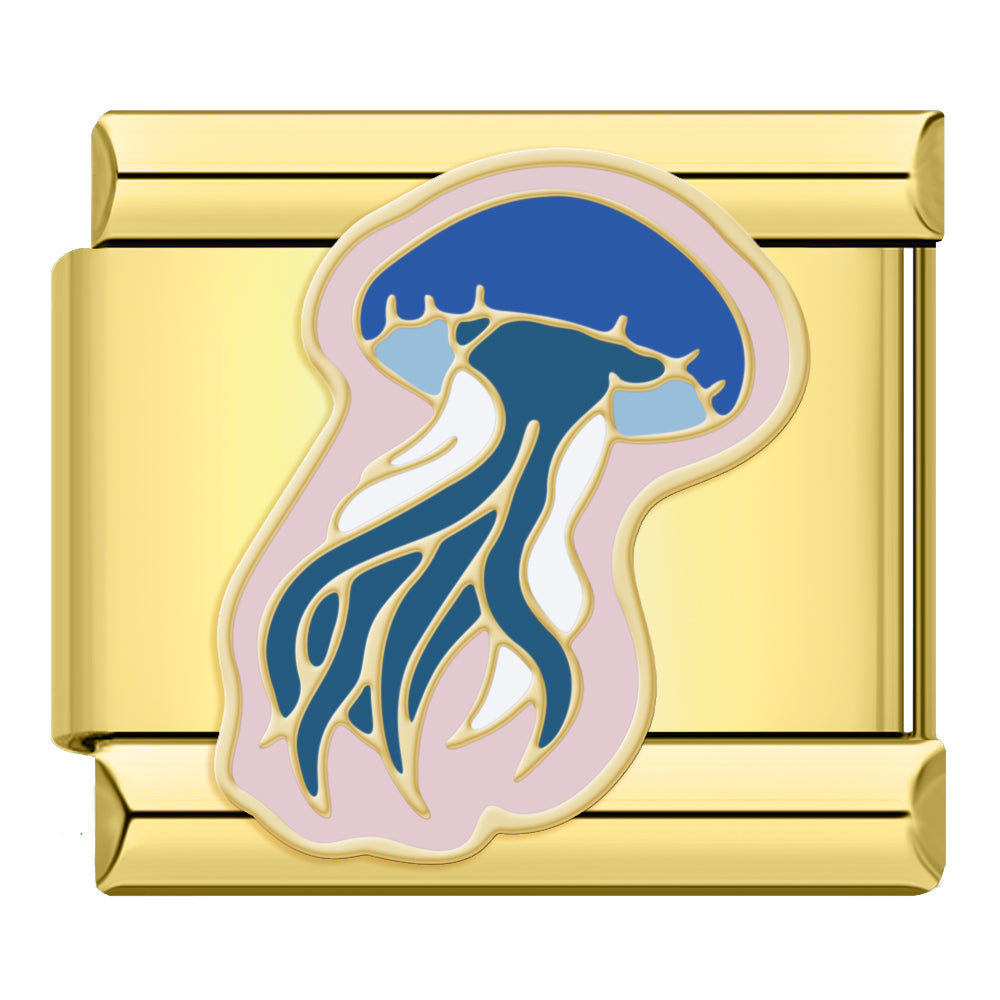 Jellyfish
