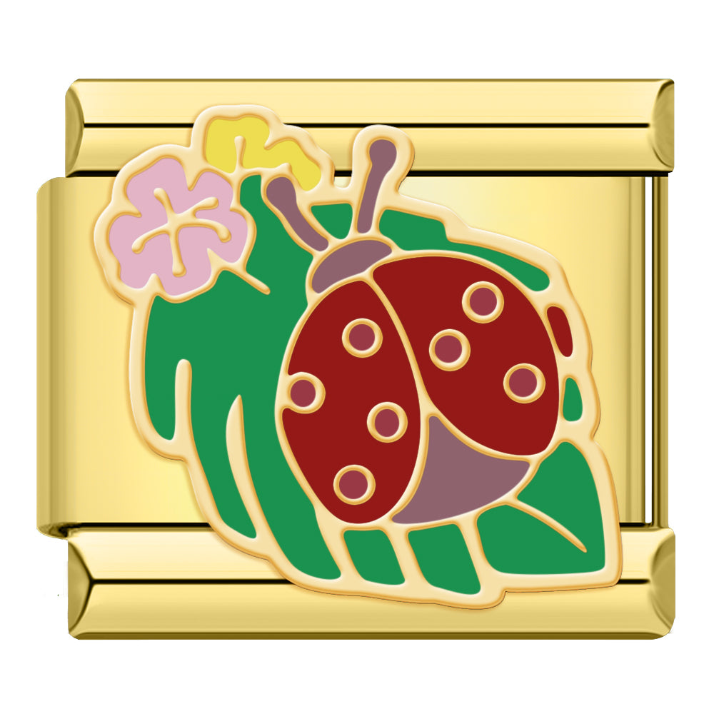 Ladybug
