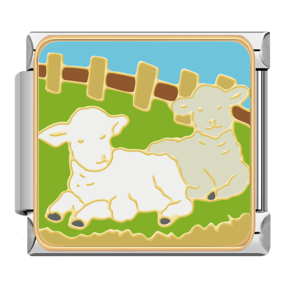 Lambs