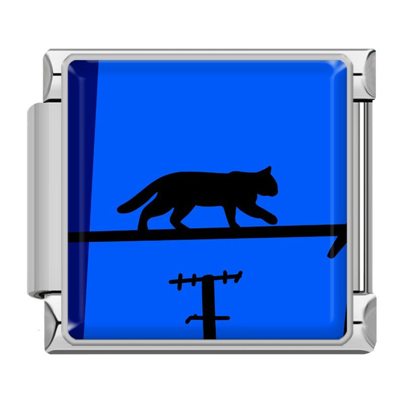 Night Cat