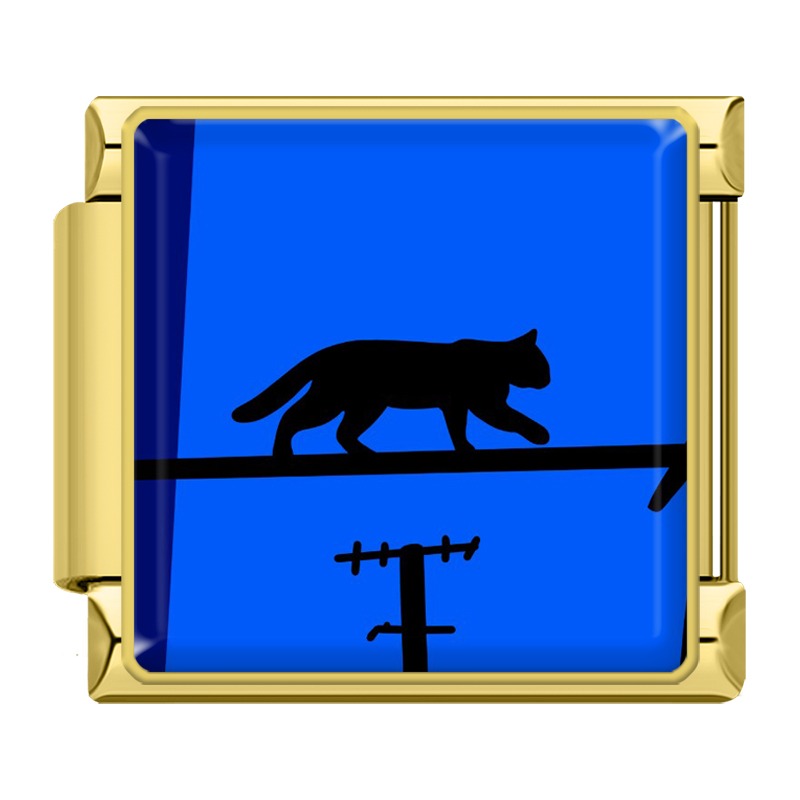 Night Cat