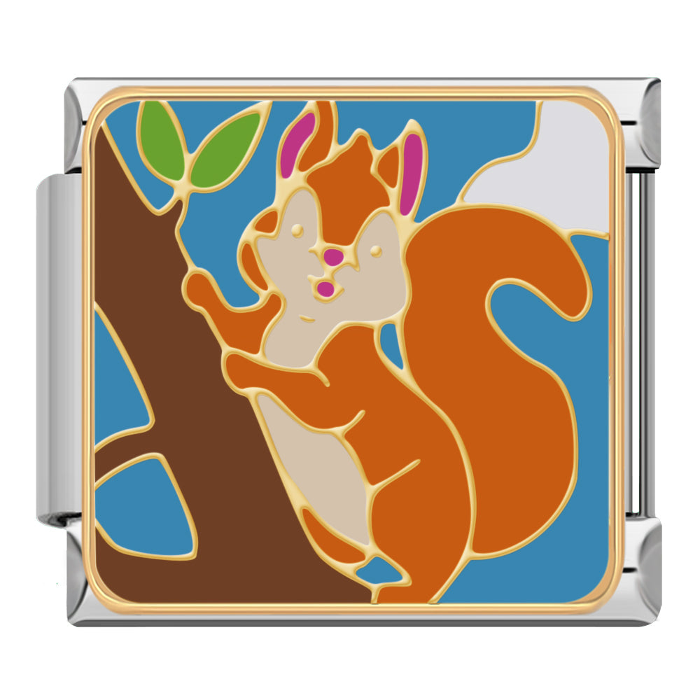 Squirrel