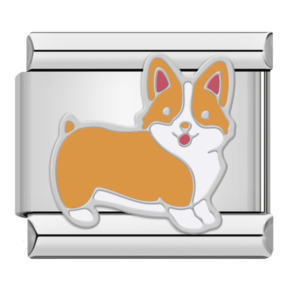 Corgi Dog