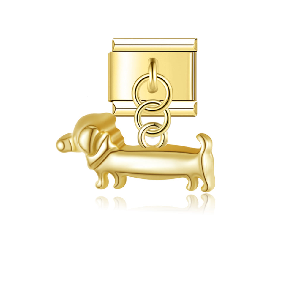 Dachshund Dog