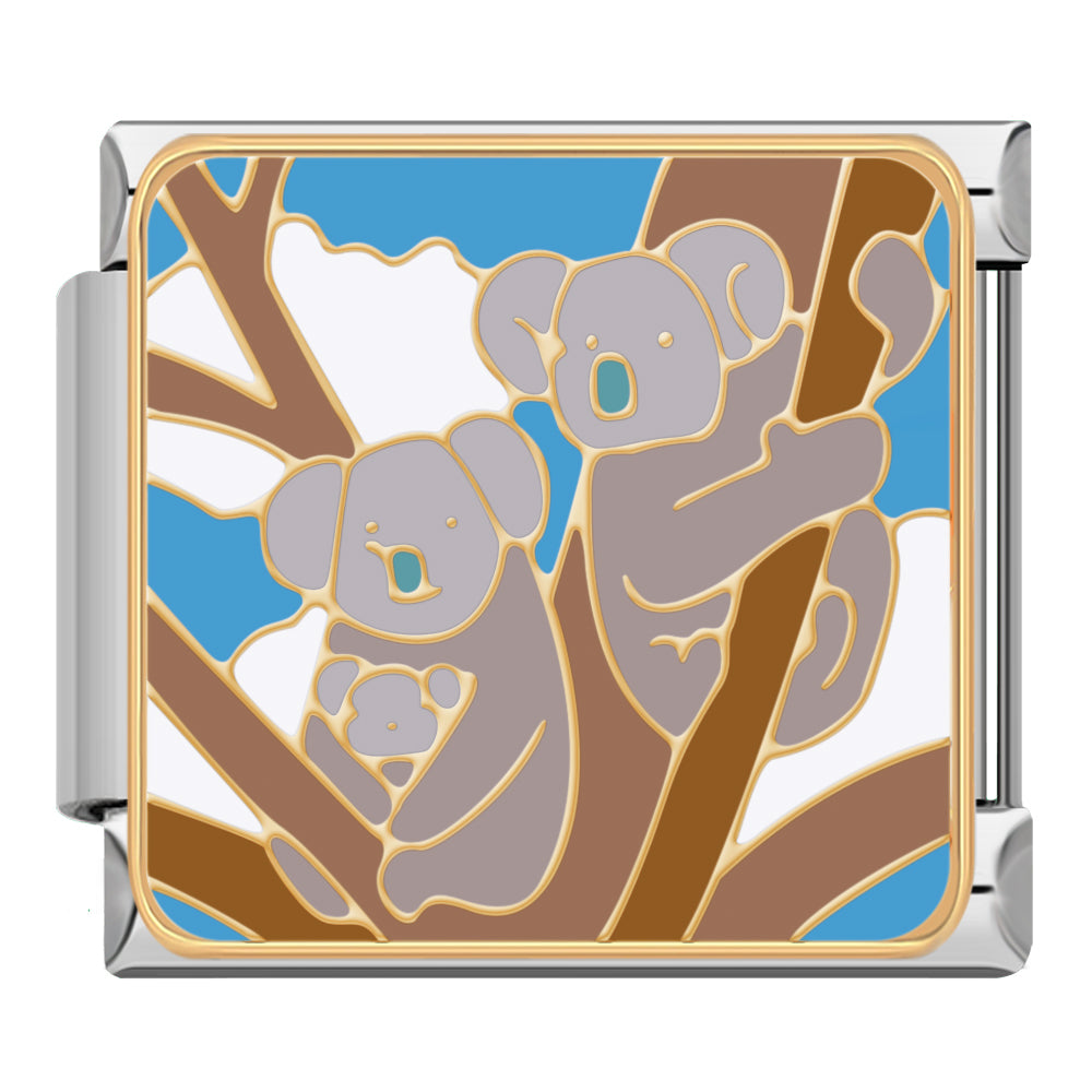 Koalas