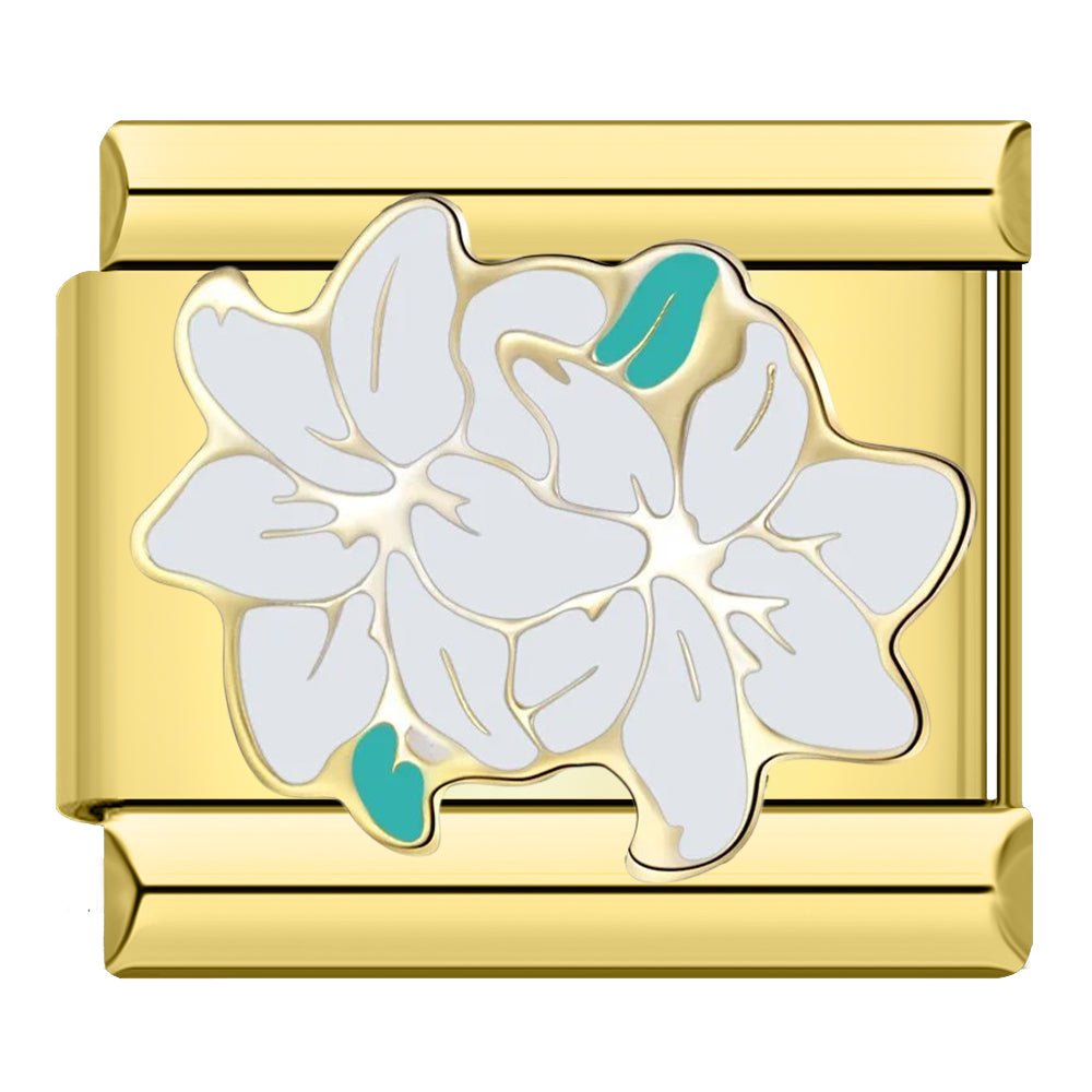 Lilies