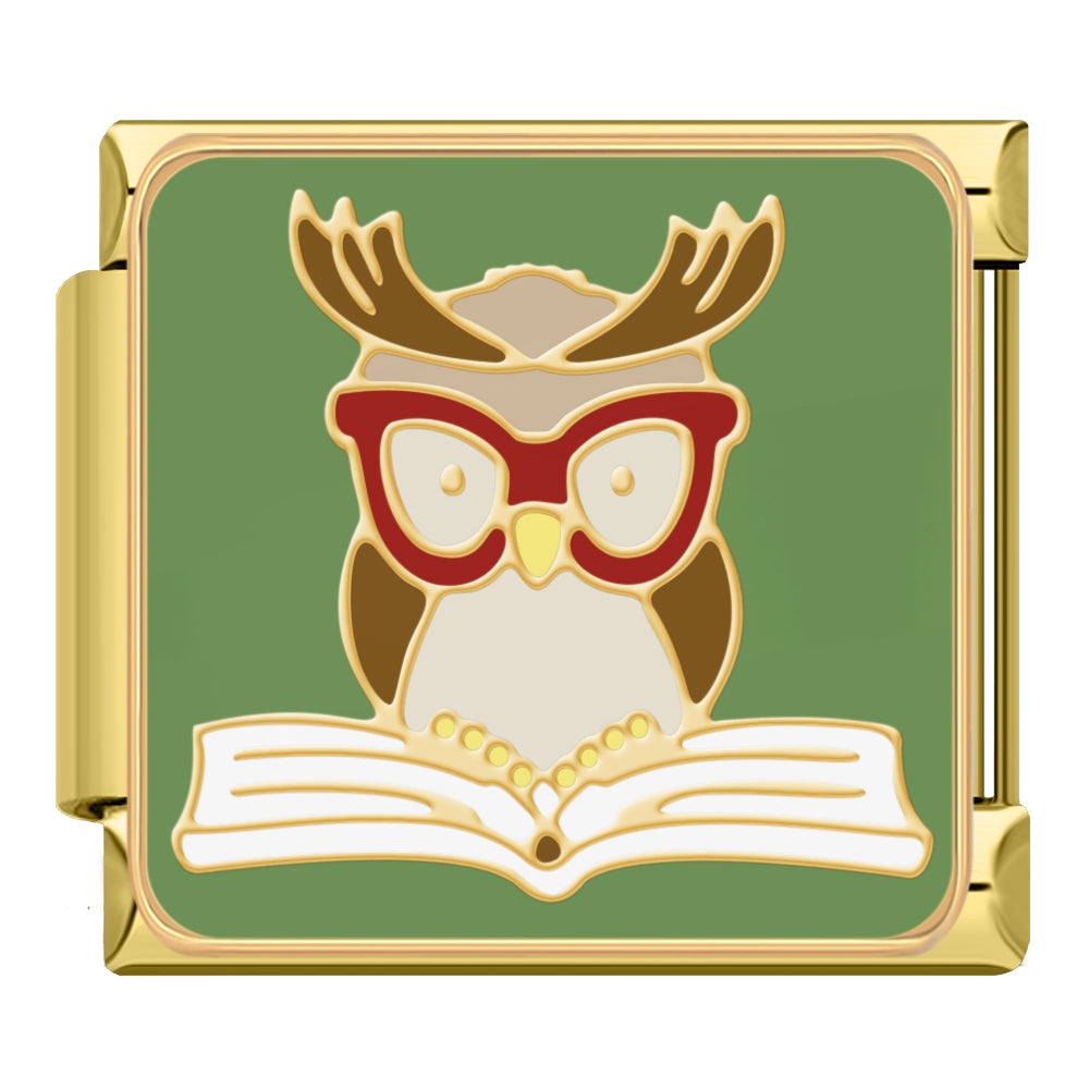 Owl reading
