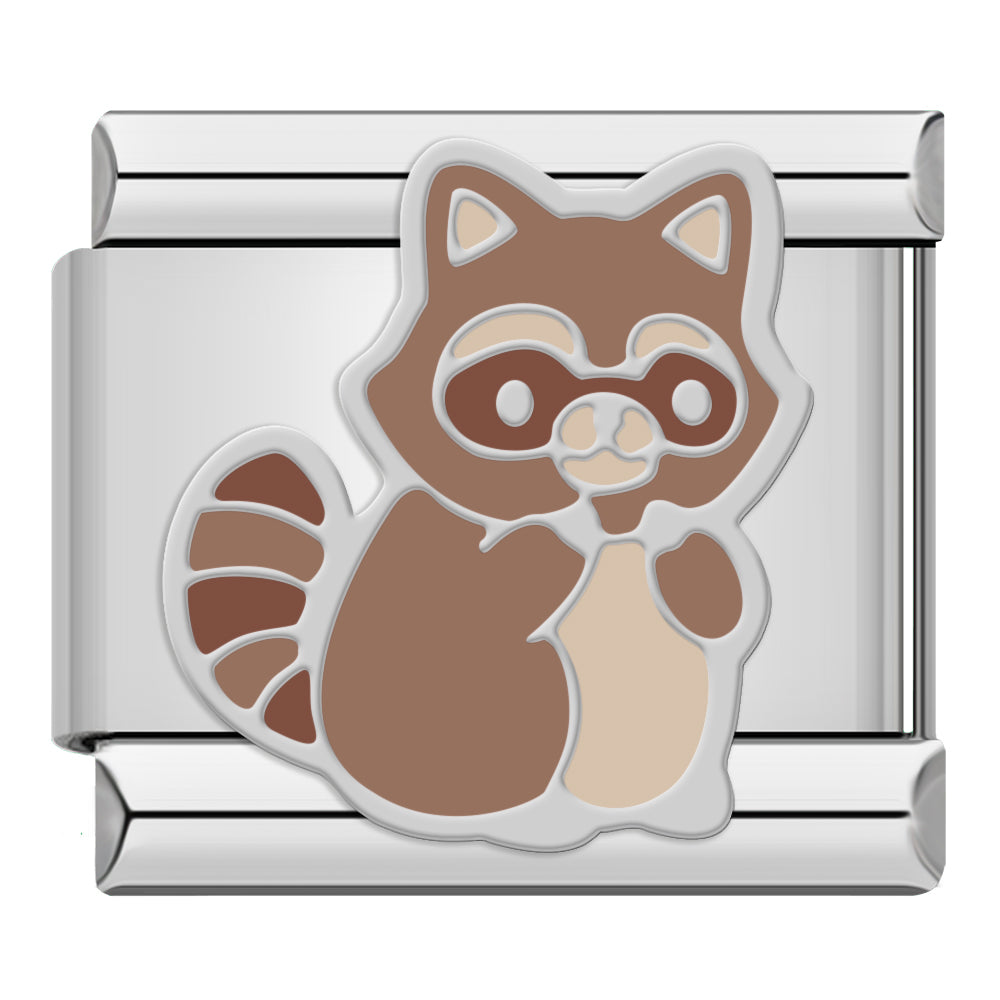 Raccoon