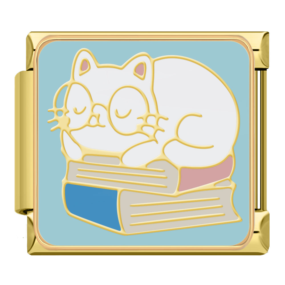 Sleepy cat on books