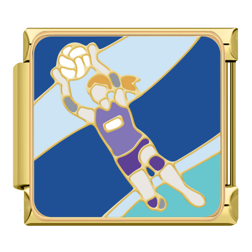 Volleyball Player