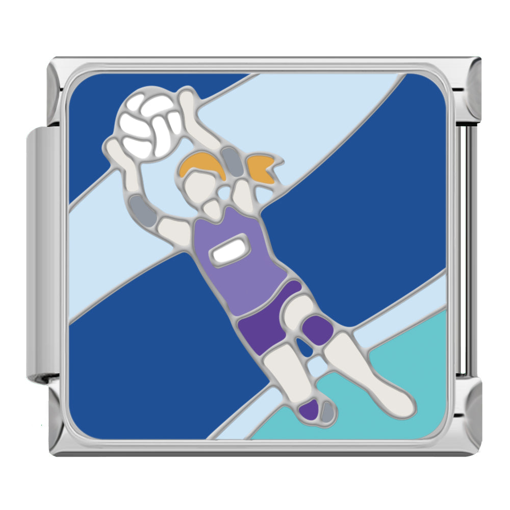 Volleyball Player